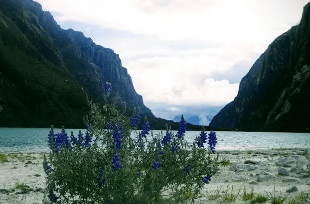 llanganuco huaraz